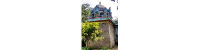 096. திருவைகன்மாடக்கோயில்